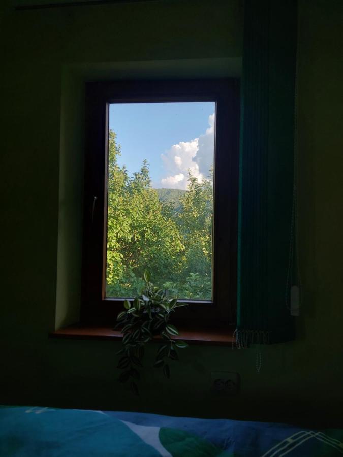 Cabana Cu Teren De Tenis -- Etaj Banita Esterno foto